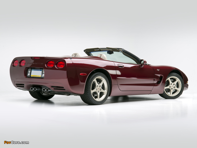 Corvette Convertible 50th Anniversary (C5) 2002–03 pictures (800 x 600)