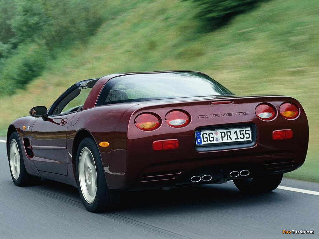 Corvette Coupe 50th Anniversary EU-spec (C5) 2002–03 pictures (1024 x 768)