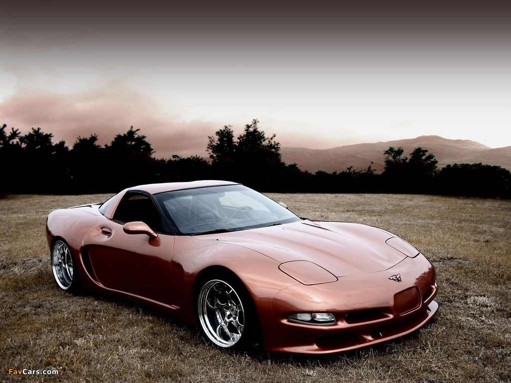 Wittera Corvette C5 Wide Body 2011 images (1024 x 768)