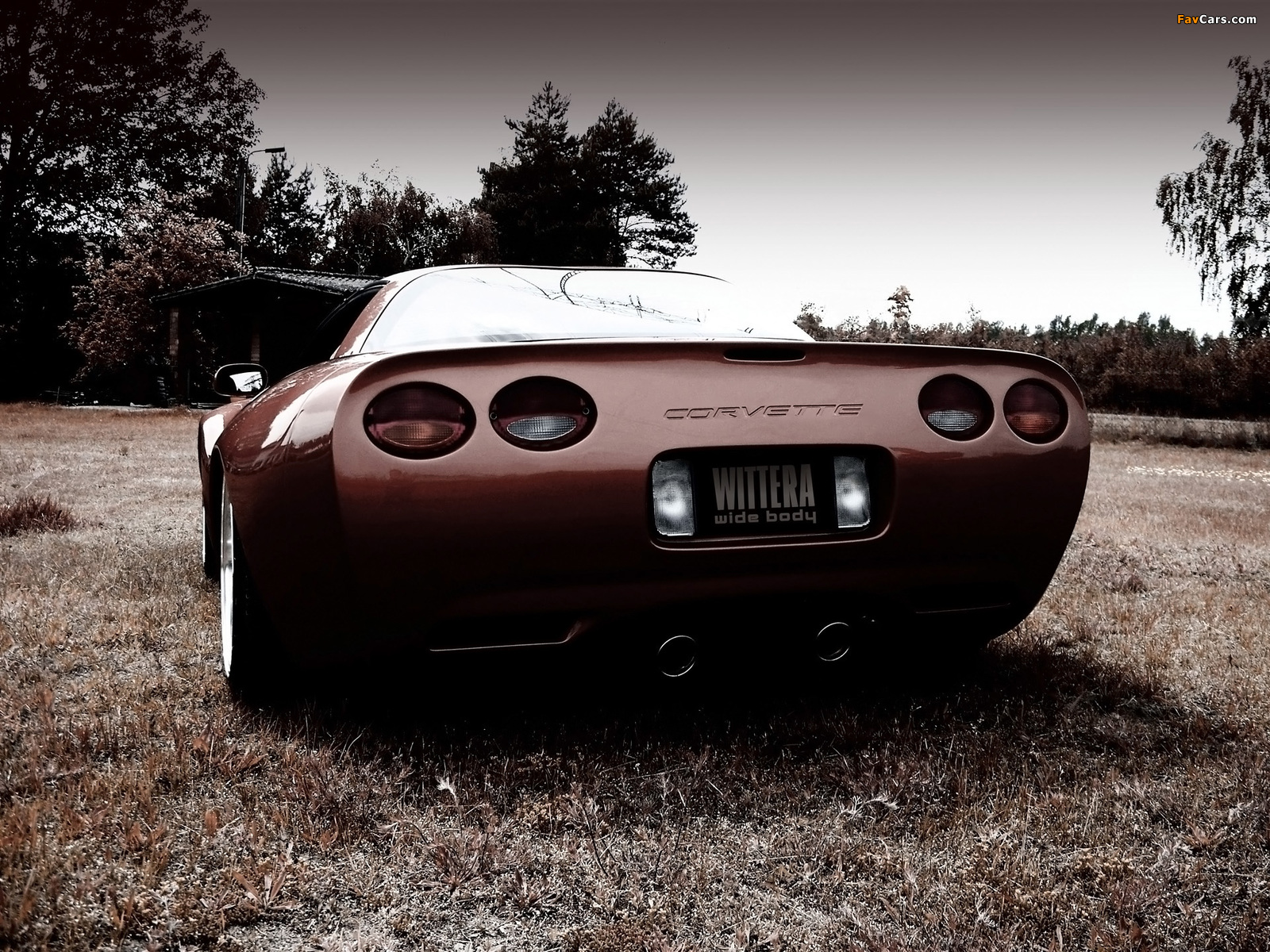 Wittera Corvette C5 Wide Body 2011 pictures (1600 x 1200)