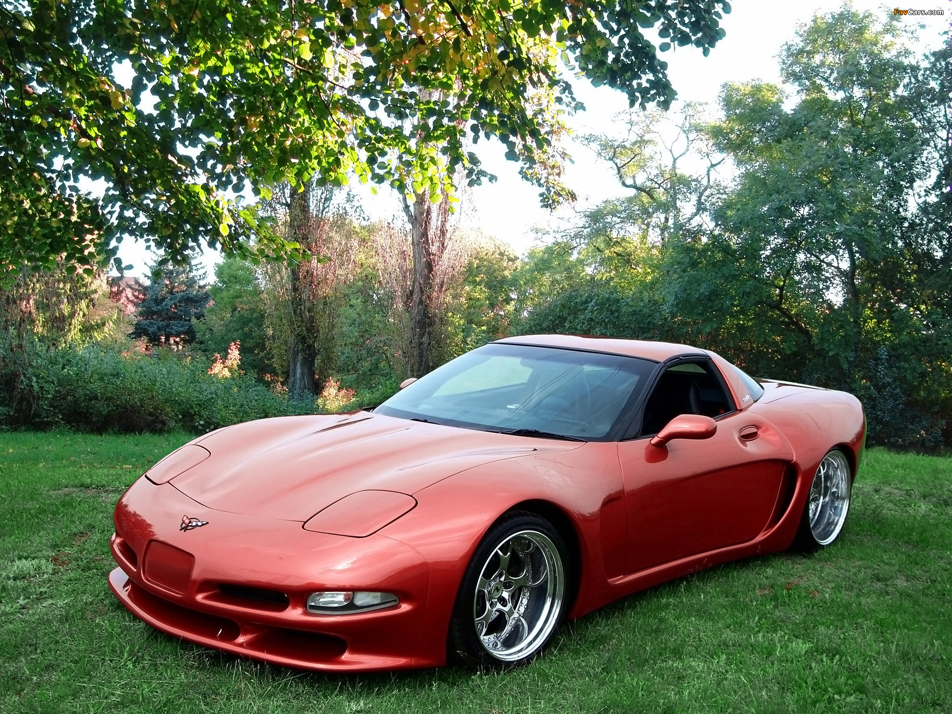 Wittera Corvette C5 Wide Body 2011 wallpapers (1920 x 1440)