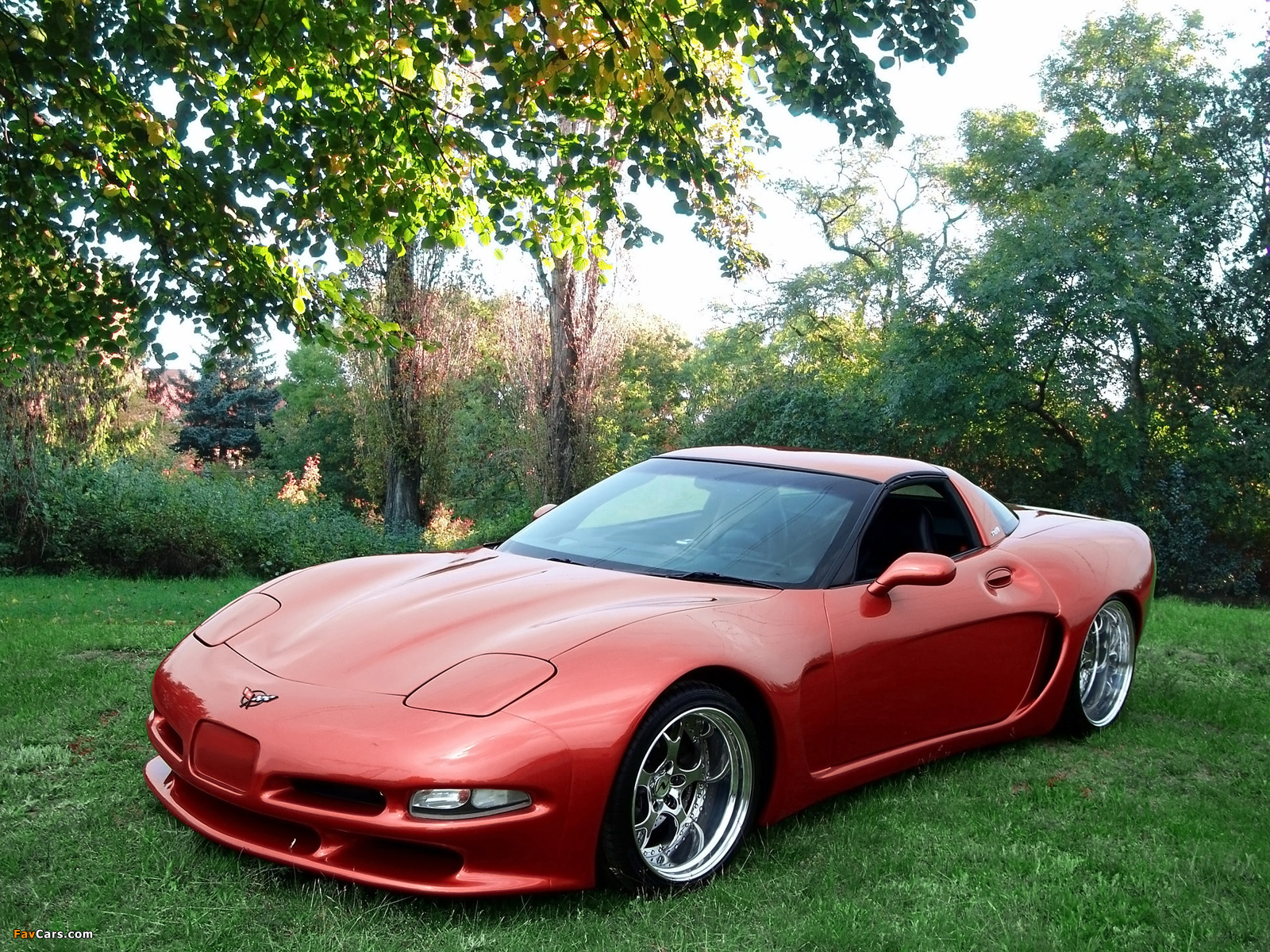 Wittera Corvette C5 Wide Body 2011 wallpapers (1600 x 1200)