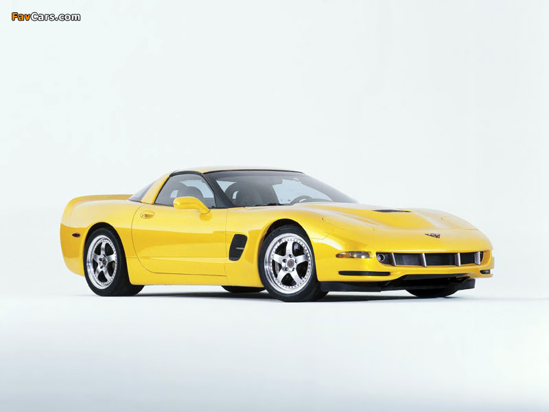 Corvette C5 pictures (800 x 600)