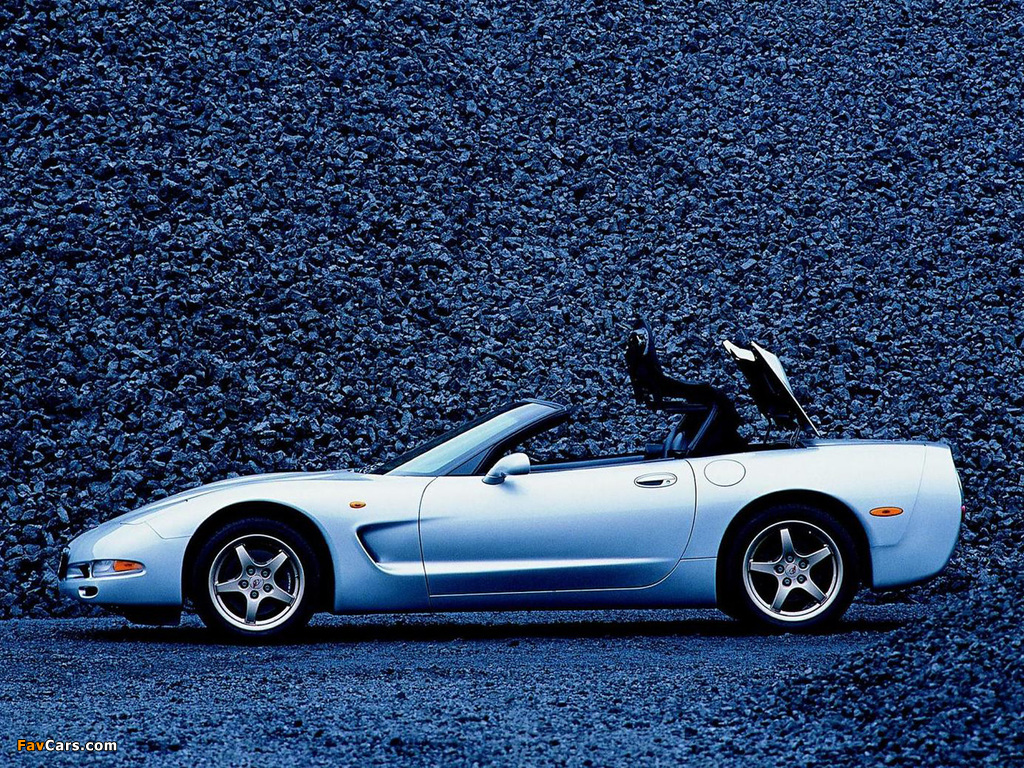 Images of Corvette Convertible (C5) 1998–2004 (1024 x 768)