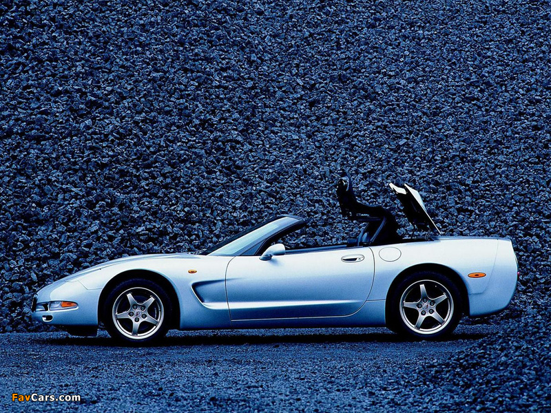 Images of Corvette Convertible (C5) 1998–2004 (800 x 600)