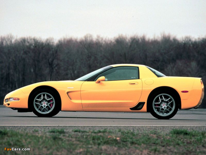 Images of Corvette Z06 (C5) 2001–03 (800 x 600)