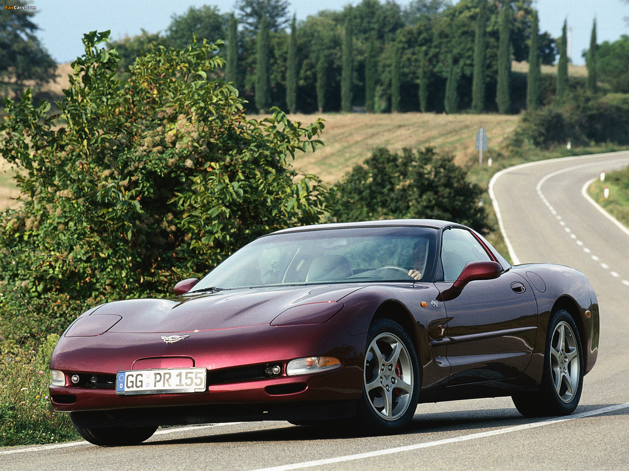 Images of Corvette Coupe 50th Anniversary EU-spec (C5) 2002–03 (2048 x 1536)