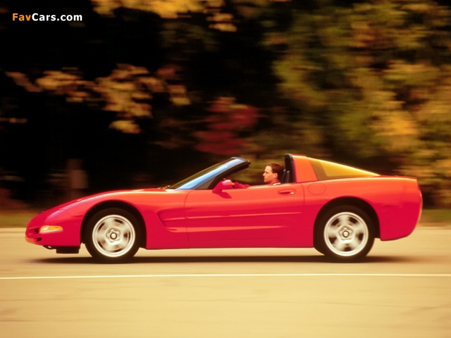 Photos of Corvette Coupe (C5) 1997–2004 (640 x 480)