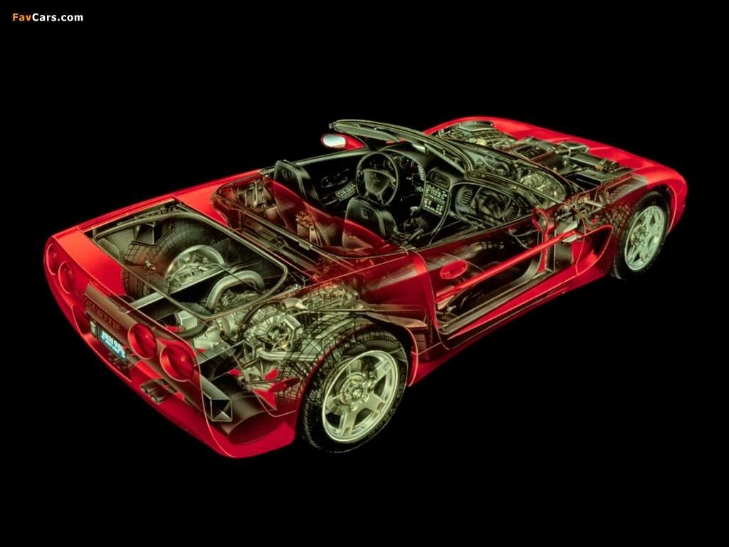 Photos of Corvette Convertible (C5) 1998–2004 (1024 x 768)