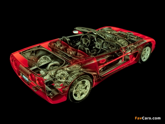 Photos of Corvette Convertible (C5) 1998–2004 (640 x 480)