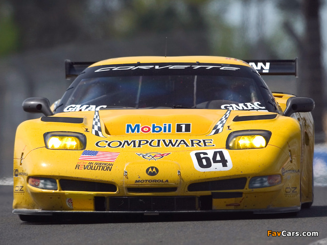 Photos of Corvette C5R 2001–04 (640 x 480)