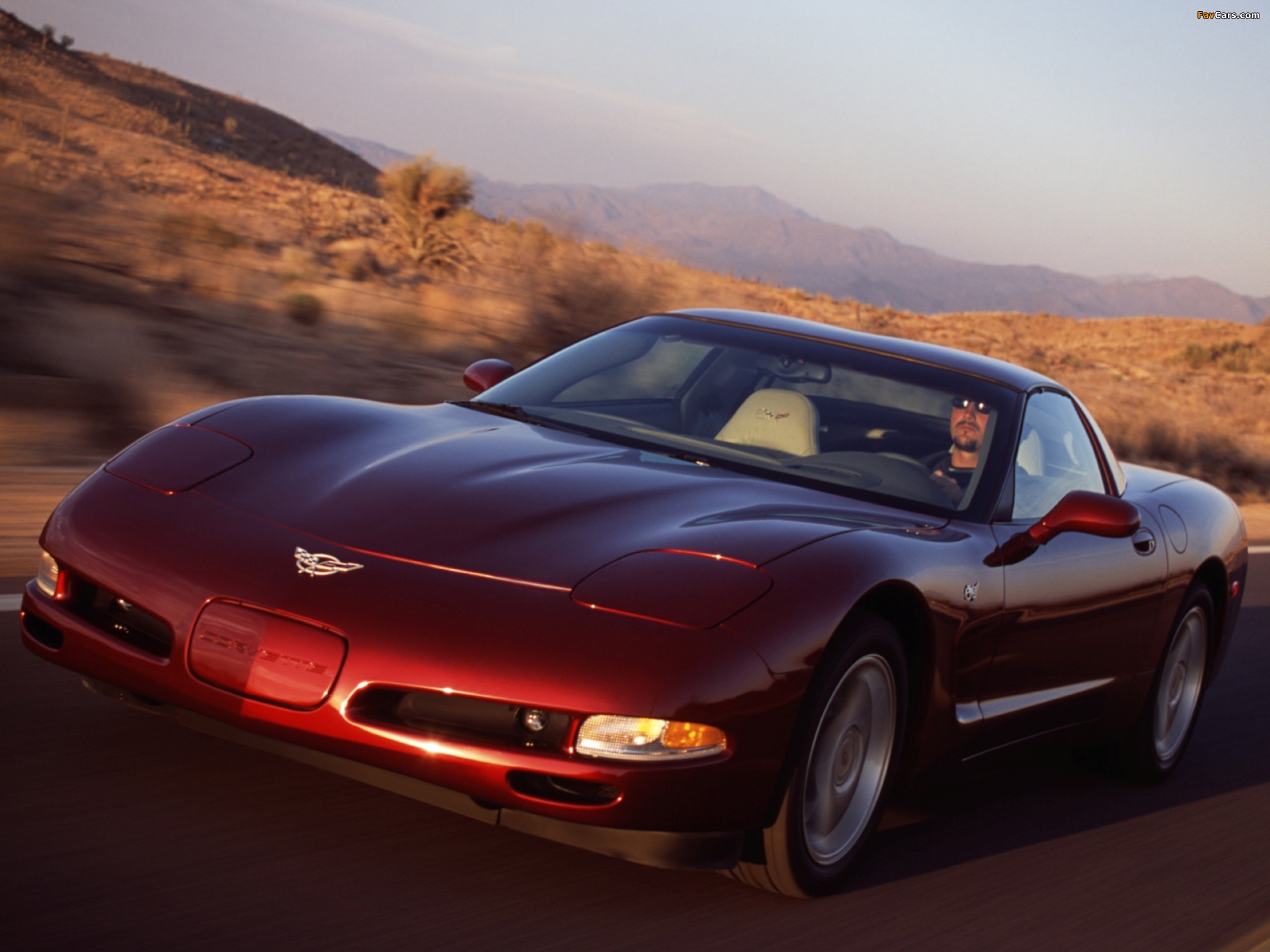 Photos of Corvette Coupe 50th Anniversary (C5) 2002–03 (2048 x 1536)