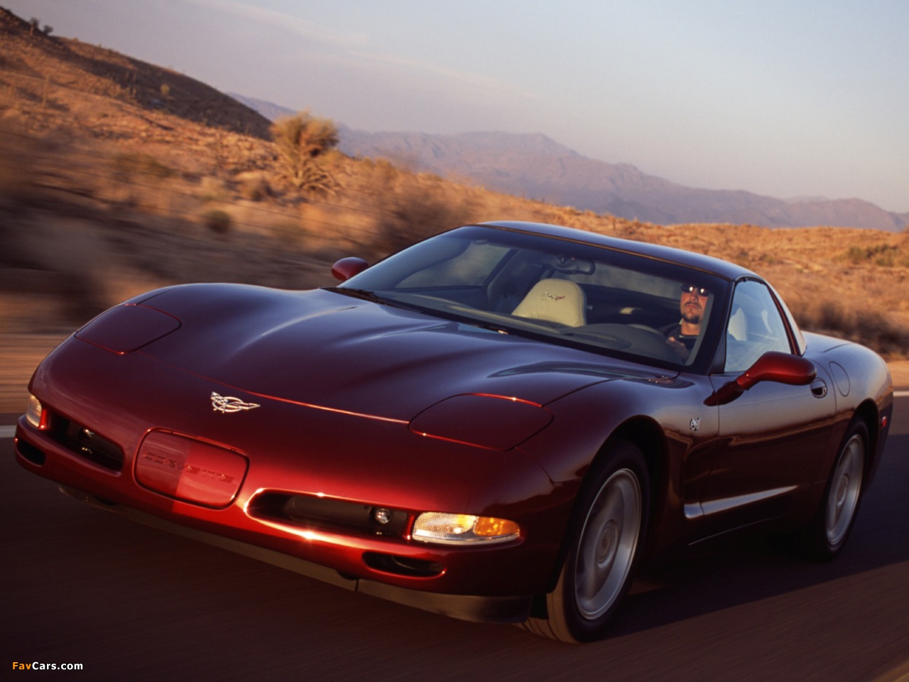 Photos of Corvette Coupe 50th Anniversary (C5) 2002–03 (1280 x 960)