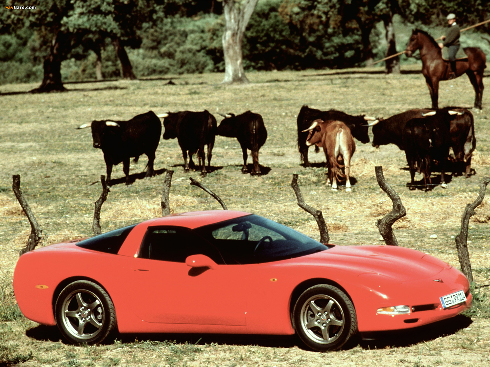 Pictures of Corvette Coupe EU-spec (C5) 1997–2004 (1600 x 1200)