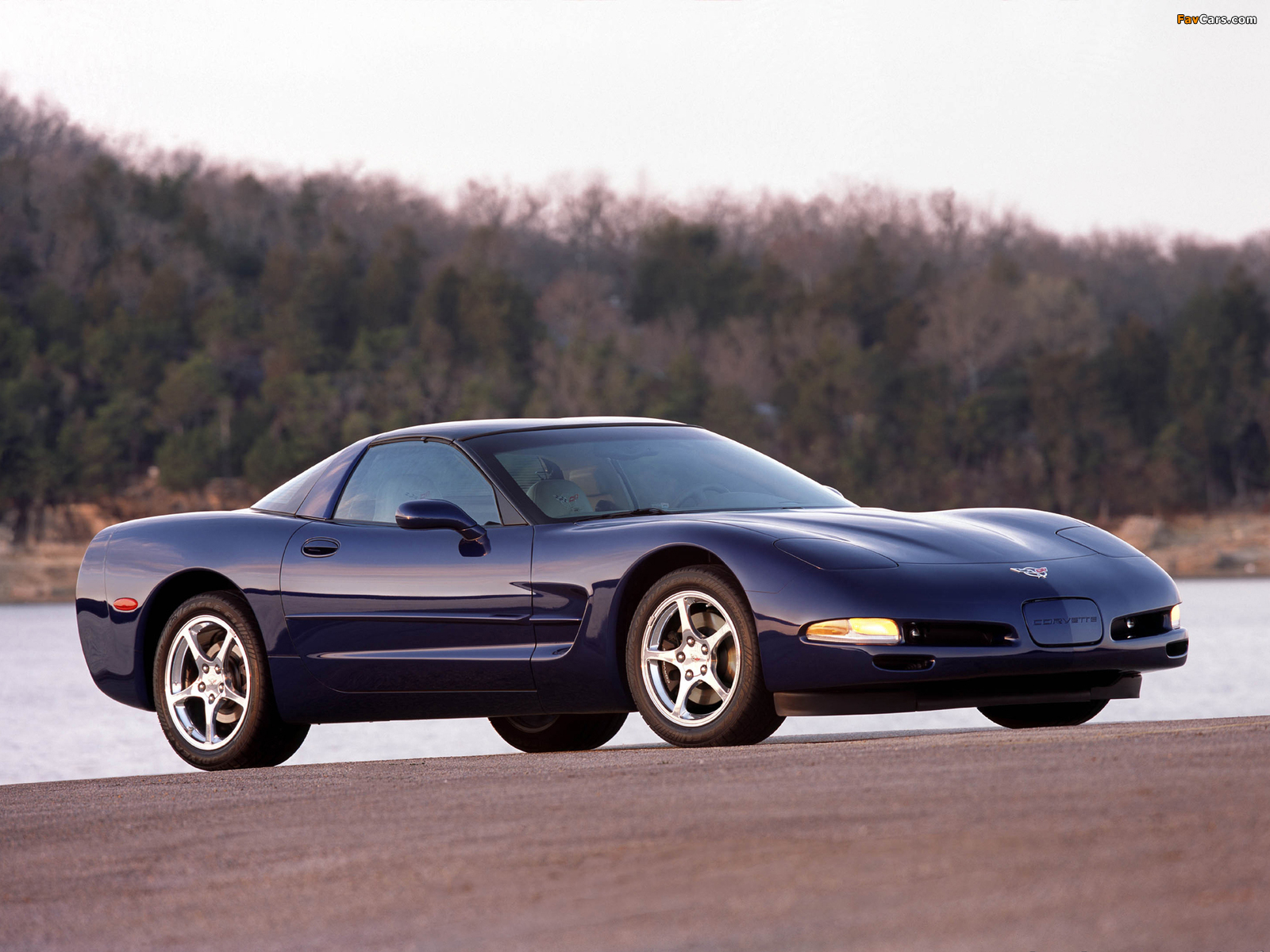 Pictures of Corvette Coupe (C5) 1997–2004 (1600 x 1200)