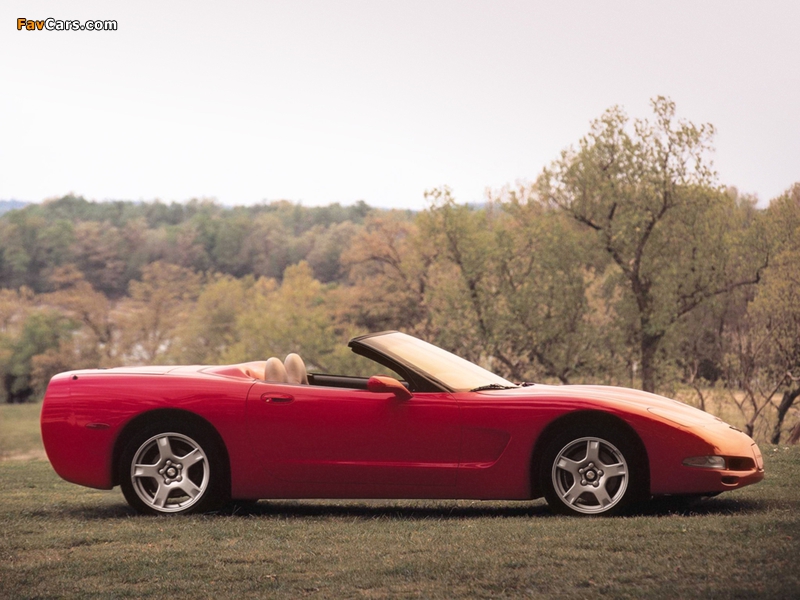 Pictures of Corvette Convertible (C5) 1998–2004 (800 x 600)