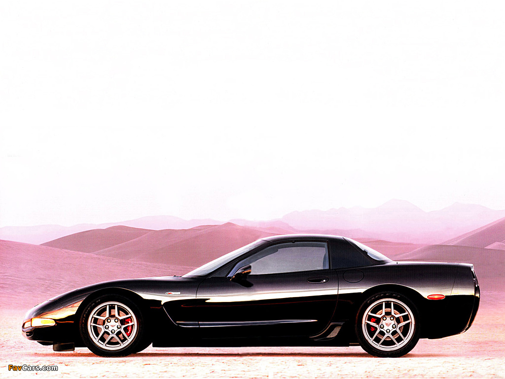 Pictures of Corvette Z06 (C5) 2001–03 (1024 x 768)