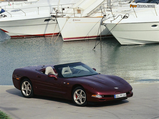 Pictures of Corvette Convertible 50th Anniversary (C5) 2002–03 (640 x 480)