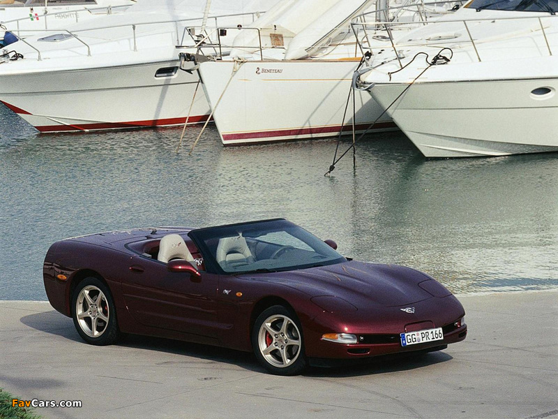 Pictures of Corvette Convertible 50th Anniversary (C5) 2002–03 (800 x 600)