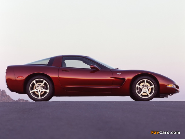 Pictures of Corvette Coupe 50th Anniversary (C5) 2002–03 (640 x 480)