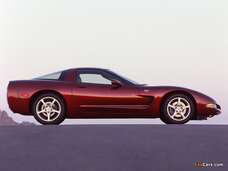 Pictures of Corvette Coupe 50th Anniversary (C5) 2002–03 (800 x 600)