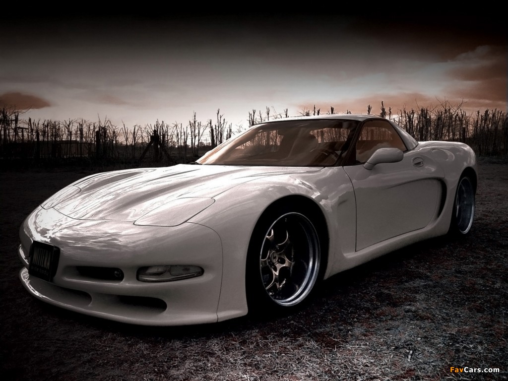 Pictures of Wittera Corvette C5 Wide Body 2011 (1024 x 768)