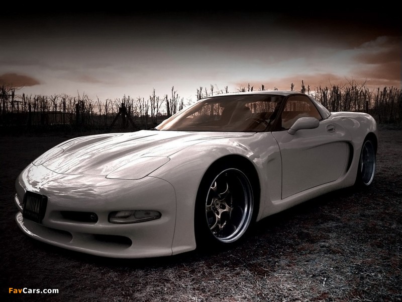 Pictures of Wittera Corvette C5 Wide Body 2011 (800 x 600)