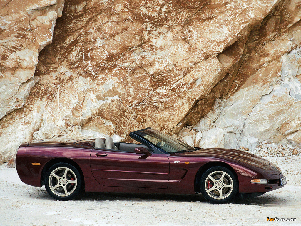 Corvette Convertible 50th Anniversary (C5) 2002–03 wallpapers (1024 x 768)