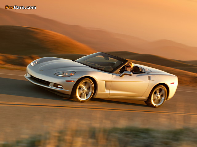 Corvette Convertible (C6) 2005 photos (640 x 480)