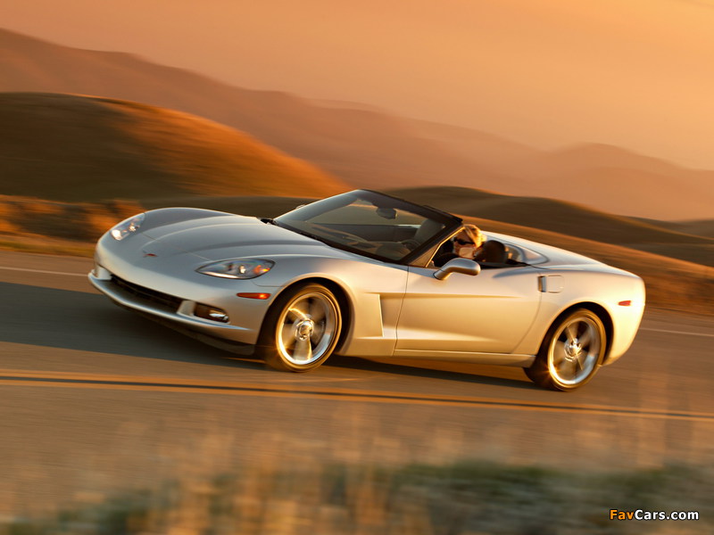 Corvette Convertible (C6) 2005 photos (800 x 600)