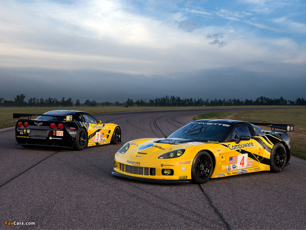 Corvette C6.R GT2 2009 photos (1024 x 768)