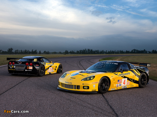 Corvette C6.R GT2 2009 photos (640 x 480)