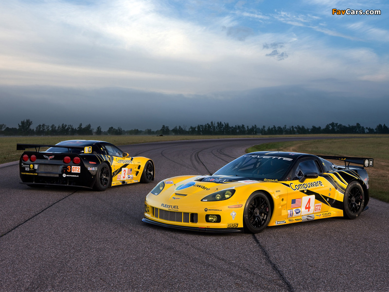 Corvette C6.R GT2 2009 photos (800 x 600)