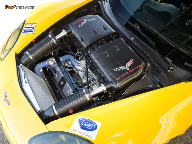 Corvette C6.R GT2 2009 photos (640 x 480)