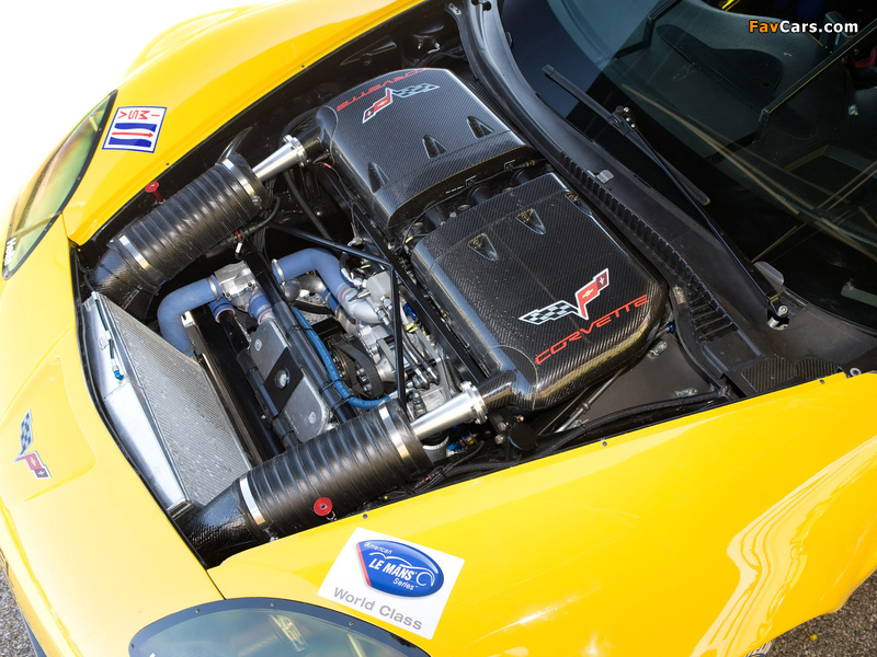 Corvette C6.R GT2 2009 photos (800 x 600)