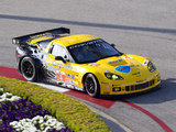 Corvette C6.R GT2 2010 images