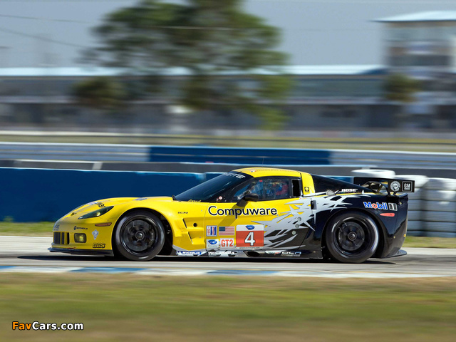 Corvette C6.R GT2 2010 photos (640 x 480)