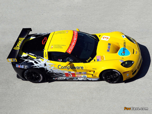 Corvette C6.R GT2 2010 pictures (640 x 480)