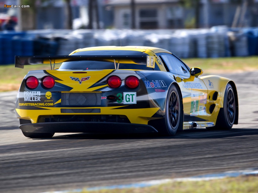 Corvette C6.R GT2 2011–13 images (1024 x 768)