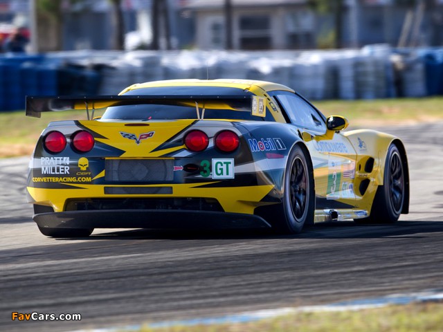 Corvette C6.R GT2 2011–13 images (640 x 480)