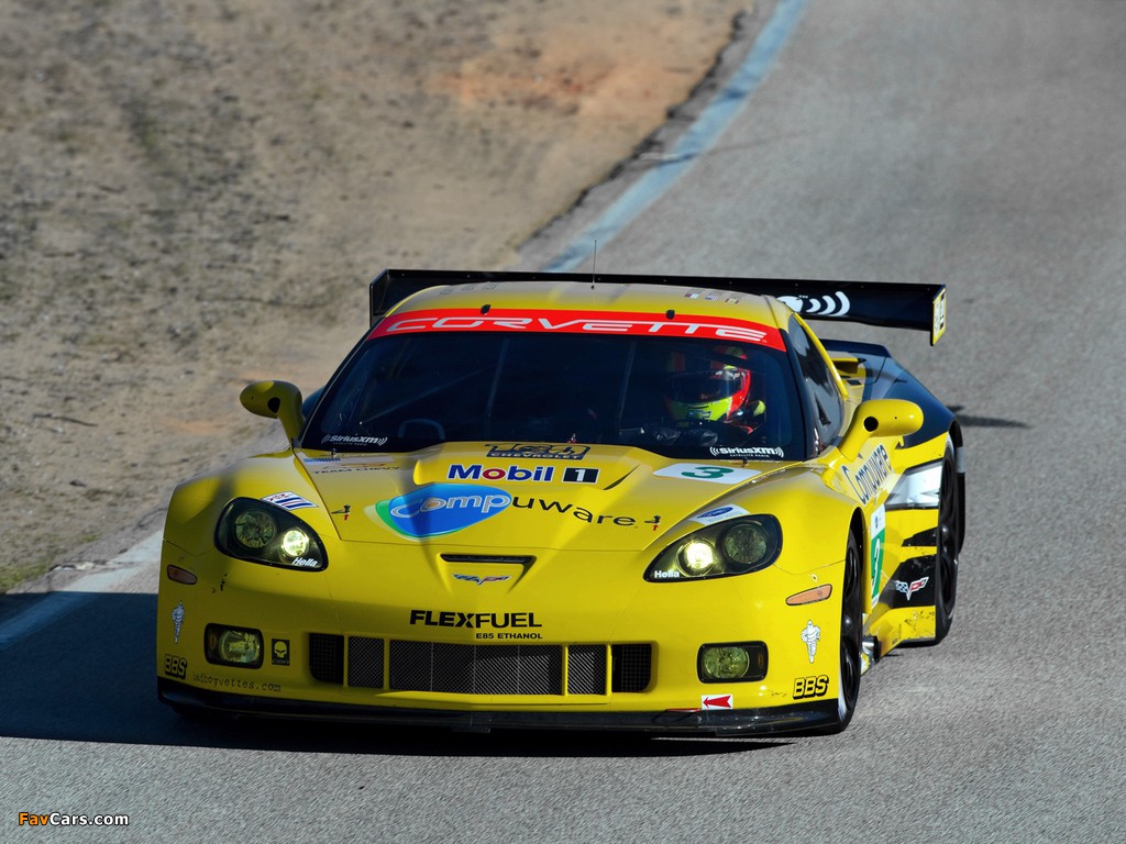 Corvette C6.R GT2 2011–13 pictures (1024 x 768)