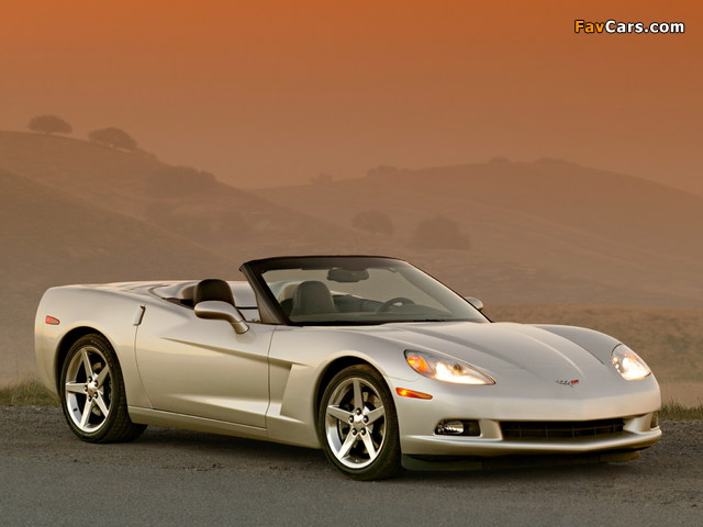 Images of Corvette Convertible (C6) 2005 (640 x 480)
