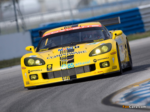 Images of Corvette C6.R 2005 (640 x 480)