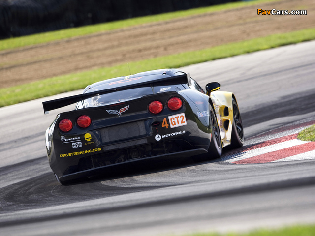 Images of Corvette C6.R GT2 2009 (640 x 480)