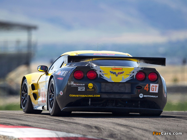 Images of Corvette C6.R GT2 2010 (640 x 480)
