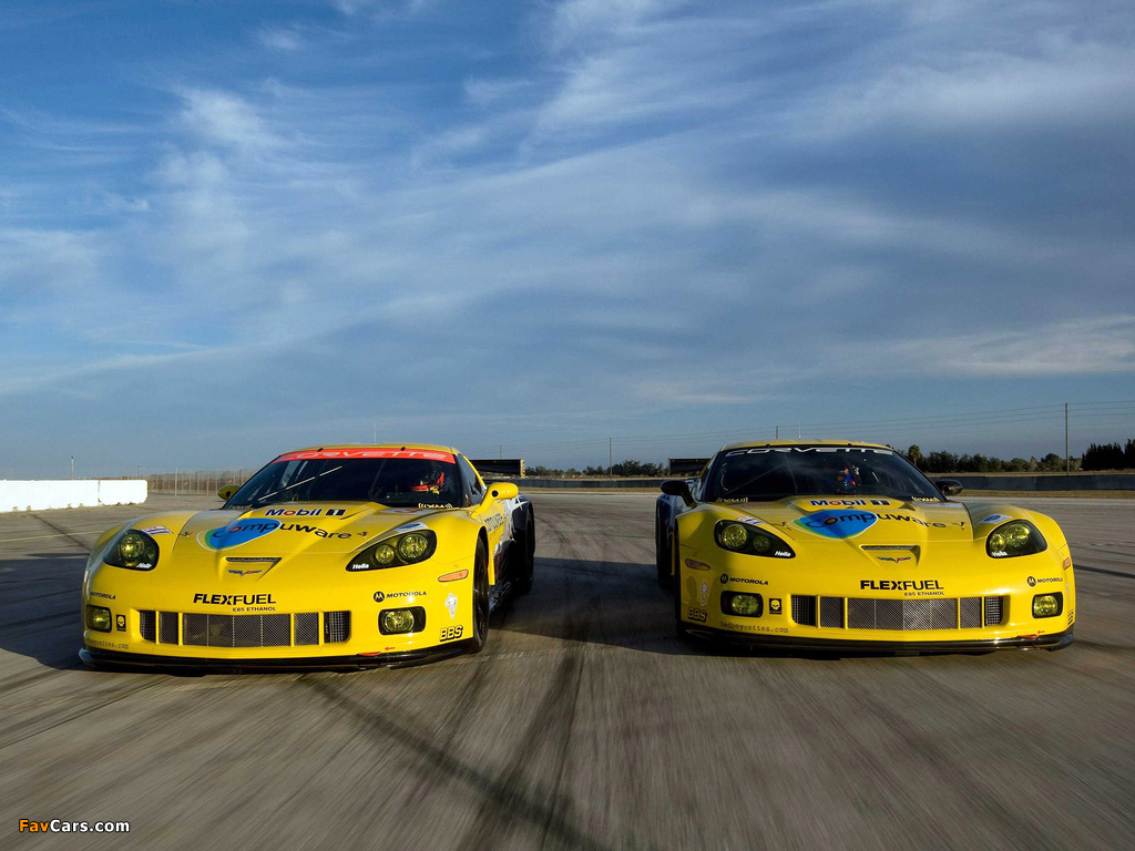 Images of Corvette C6.R GT2 2010 (1024 x 768)