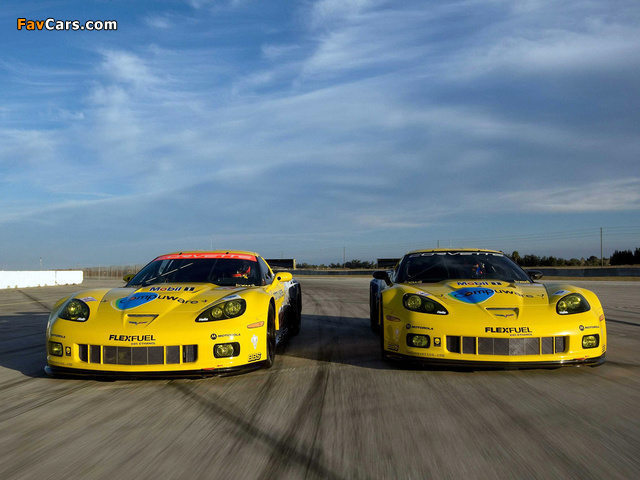 Images of Corvette C6.R GT2 2010 (640 x 480)