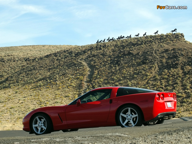 Photos of Corvette Coupe (C6) 2004–08 (640 x 480)