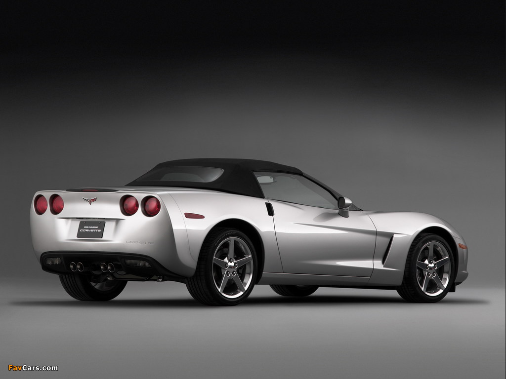 Pictures of Corvette Convertible (C6) 2005 (1024 x 768)