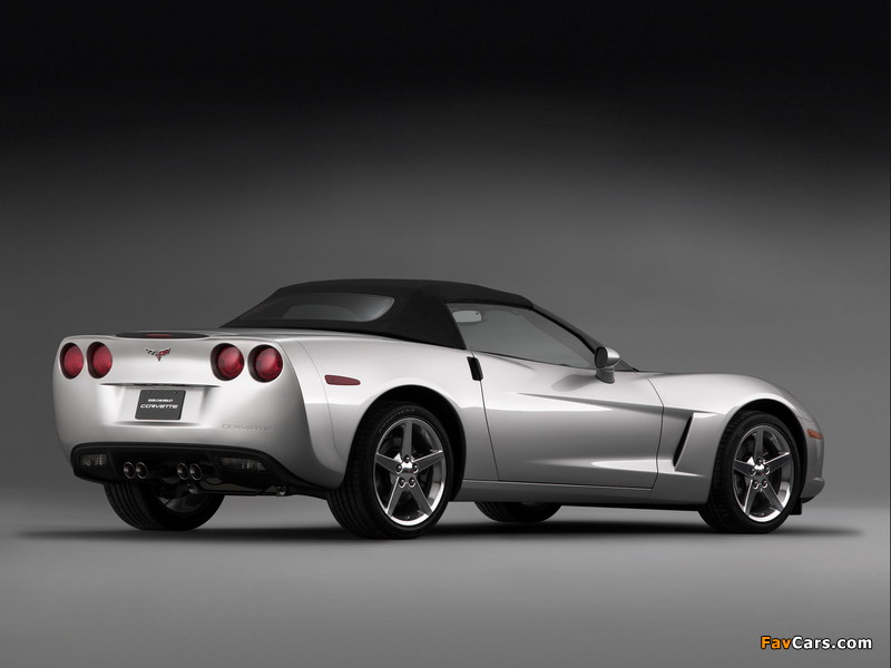 Pictures of Corvette Convertible (C6) 2005 (800 x 600)